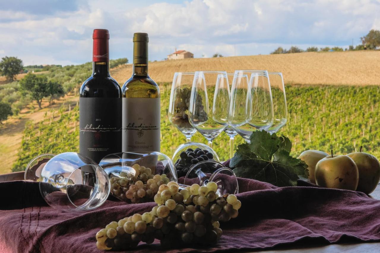 Filodivino Wine Resort & Spa Сан-Марчелло Экстерьер фото